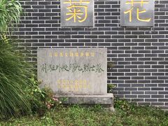 -菊花台公园