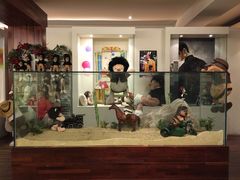 -济州岛泰迪熊博物馆