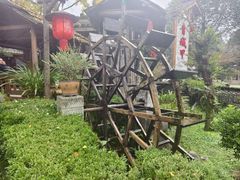 -青城甲(青城山店)