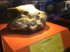 -紫金山天文台