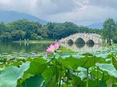 -飞来湖湿地公园
