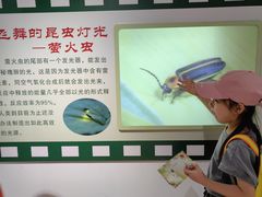 -上海昆虫博物馆