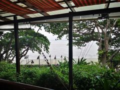 -卷心菜和避孕套餐厅(Pattaya)