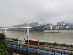 -李子坝梁山鸡(李子坝大鸡哥店)