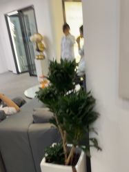 点击看大图 -清颜堂丨分子祛痘·功效美肤