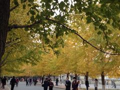 iphone_upload_pic-辽宁大学(崇山校区)