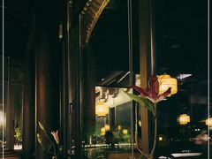 -柳莺湖上·湖景餐厅·江南菜(西湖店)