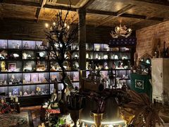 -雪灵魔法世界SHELLY’S TAROT(大良桂畔里店)