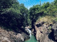 -广州白江湖森林公园