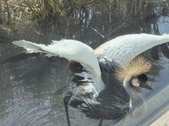 -常州淹城野生动物世界