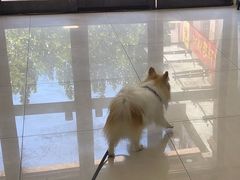 -天宠宠物医院24小时·急重症诊疗中心·全科·腔镜特色(和平分院)