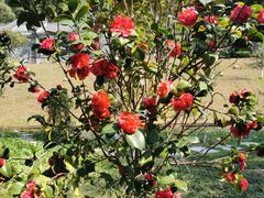 -广州神农草堂中医药博物馆