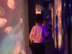 -大连圣亚海洋世界