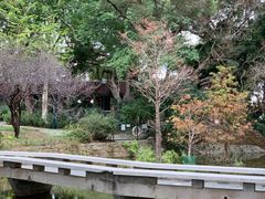 -九龙公园