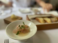 -蝶舍·MAISON PAPILLON