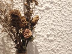 -Cafe on warm(丹霞店)