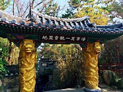 -海东龙宫寺