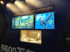 -辽宁古生物博物馆