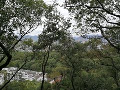 -金鸡山公园
