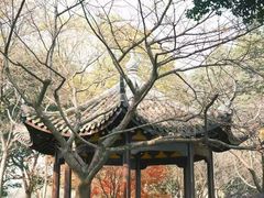 -杭州湖滨in77