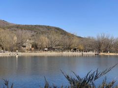 -黄村公园