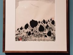 -清华大学艺术博物馆