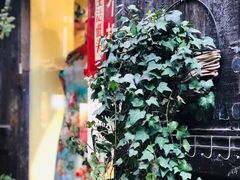 -磁器口古镇