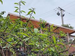 -正宗火盆自助烧烤·烤全羊·柴火鸡(龙泉山店)