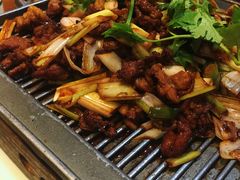 -京氣春饼(机场店)