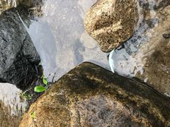 -碓臼峪自然风景区