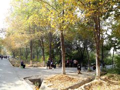 IMG_0657-鲤鱼山公园