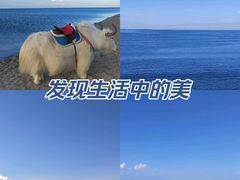 -青海湖国家重点风景名胜区