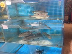 -胖姐渔村(中源大道店)