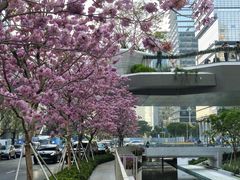 -深圳湾万象城(南山店)