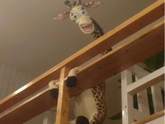 -长颈鹿咖啡(大学路店)