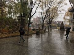 -文瀛公园