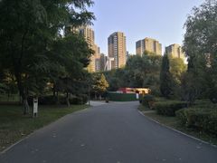 -长白岛森林公园