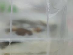 -苏师傅菜馆(上沙店)