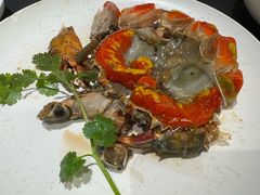 -吴记富苑(朝阳店)