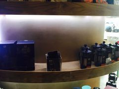 -Gloria Jean's Coffees