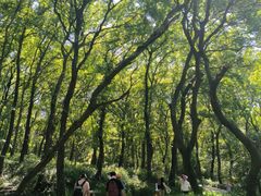 -句容茅山景区