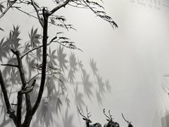 -中国农业博物馆
