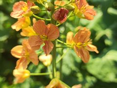 -中国天府农业博览园