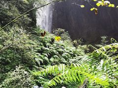 -龙水峡地缝景区