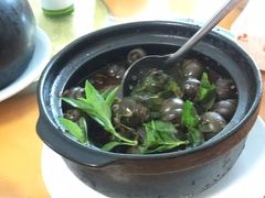 田螺煲-裕兴农家饭店