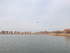 景点-野鸭湖国家湿地公园