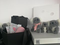 -菠萝国际教育专注Alevel·IGCSE·IB·AP·托福雅思培训辅导(静安校区)