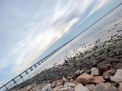 -宝安西湾红树林湿地公园