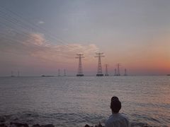 -宝安西湾红树林湿地公园