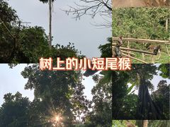 -野象谷景区